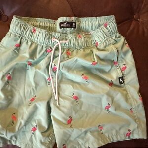Hollister Men's Green Flamingo Print Shorts Size XS